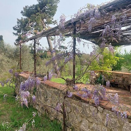 Casa Ezio Marchi - Due Appartamenti E Una Family Suite Bettolle Extérieur photo