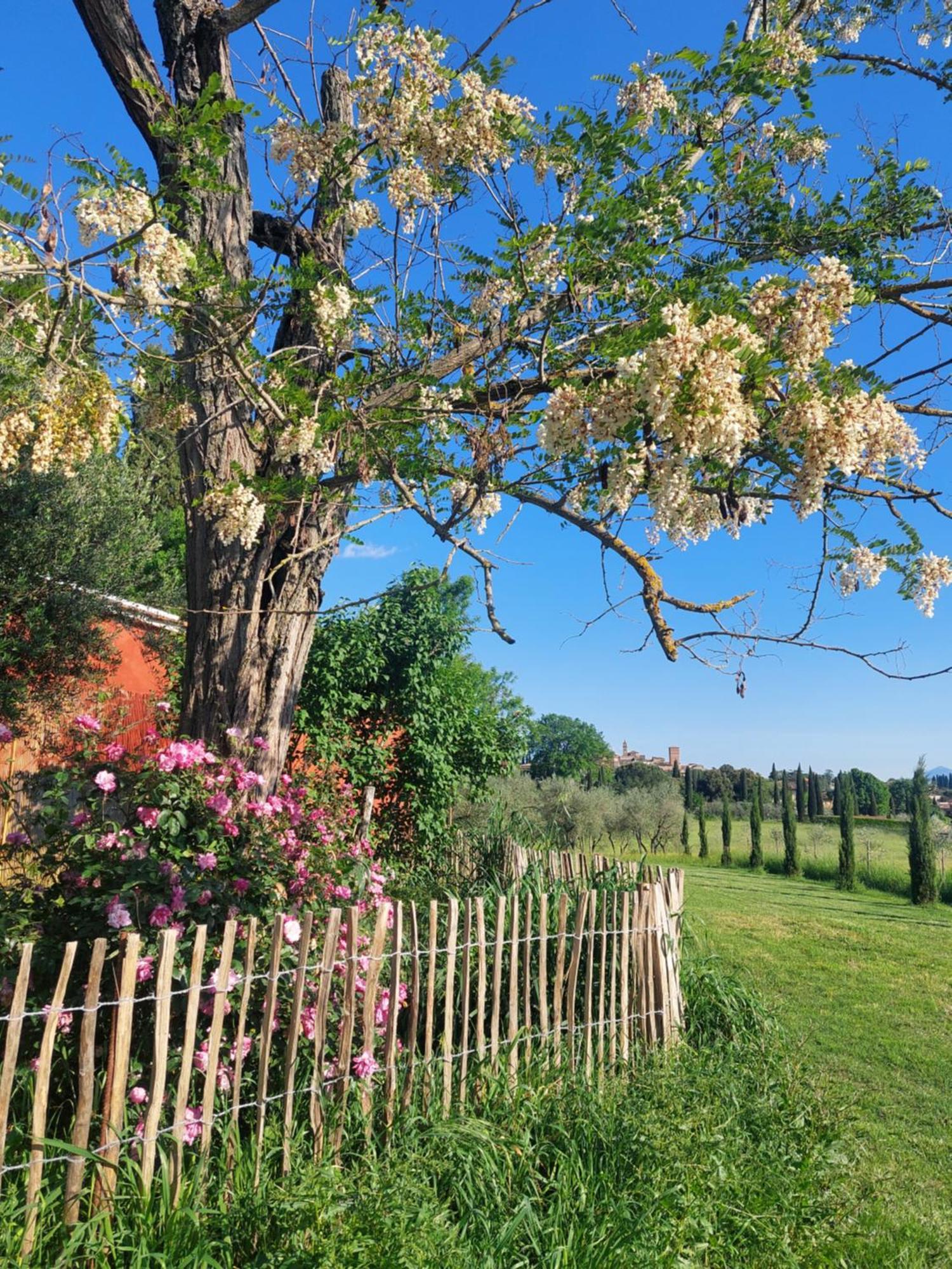 Casa Ezio Marchi - Due Appartamenti E Una Family Suite Bettolle Extérieur photo